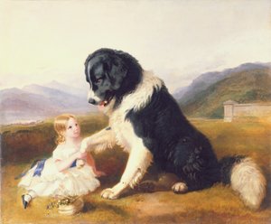 Amis fidèles